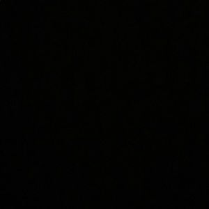 Meet your Posher, Ebony